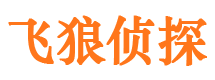 平原飞狼私家侦探公司